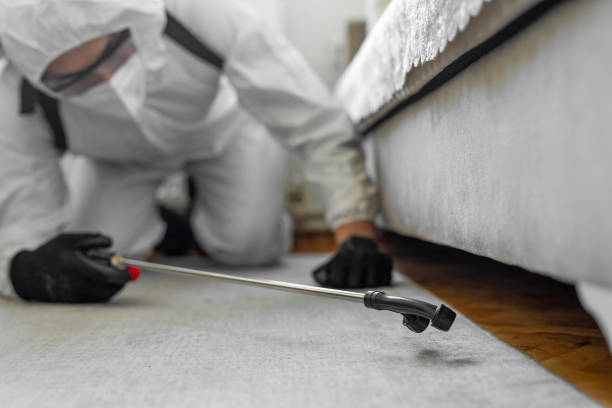 Professional Bed Bug Control technician working in Breathitt County County, KY